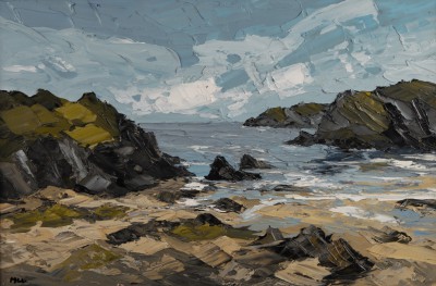 MARTIN LLEWELLYN - porth darfarch near trearddur bay